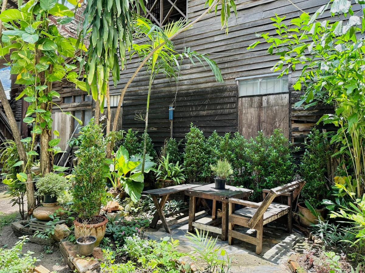 Cozy Nest Cnx Hostel Chiang Mai Luaran gambar