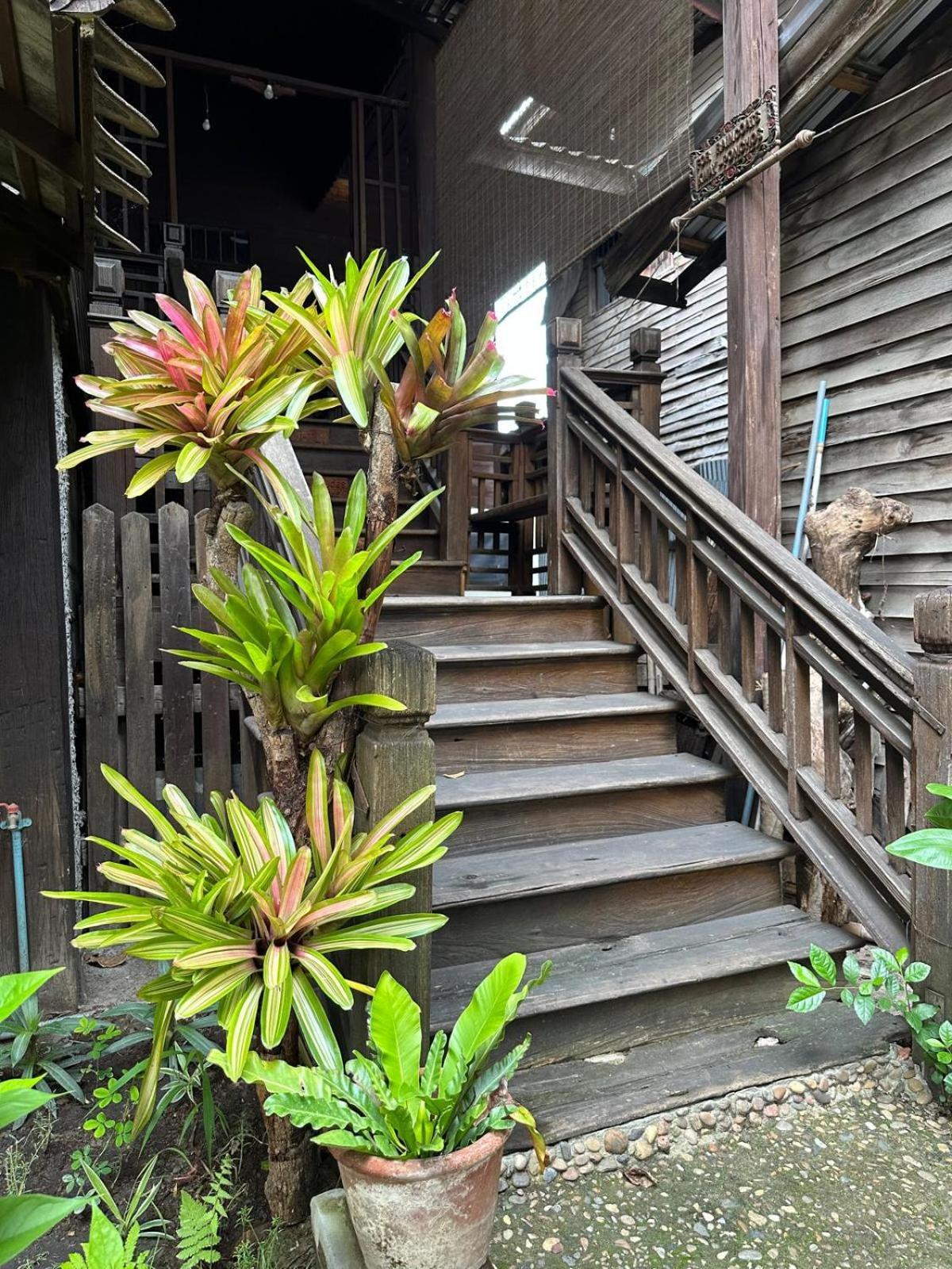 Cozy Nest Cnx Hostel Chiang Mai Luaran gambar